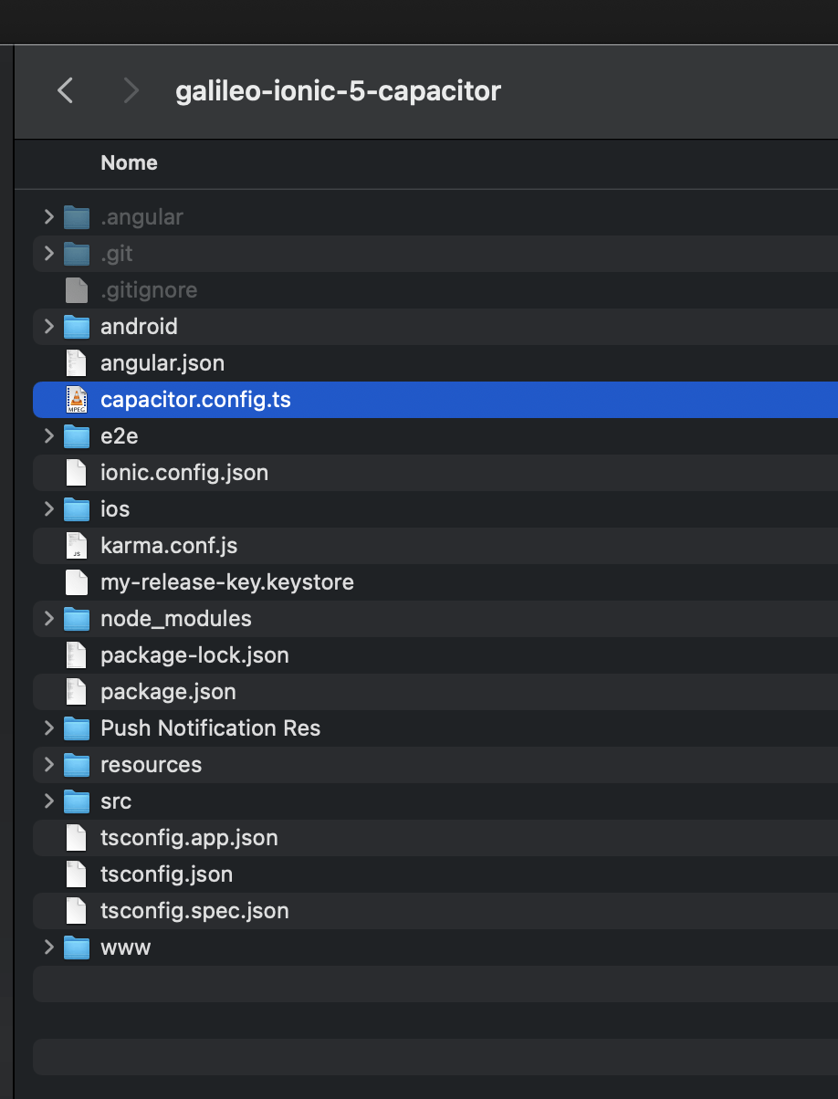 Ionic 6 default project white screen on Android 30 or below when using