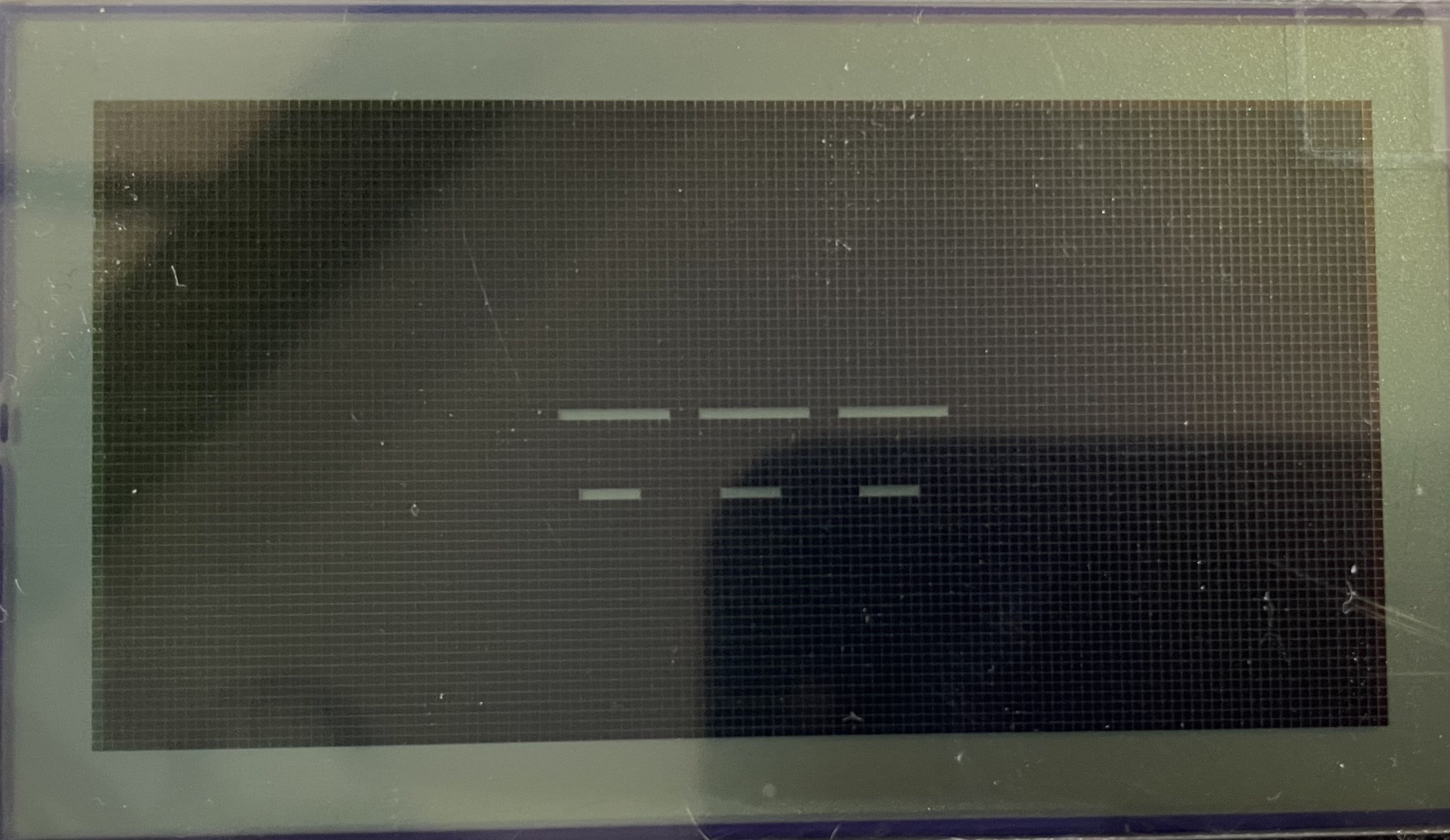 Garbled display output and inverted colors on monochrome LCD Howto
