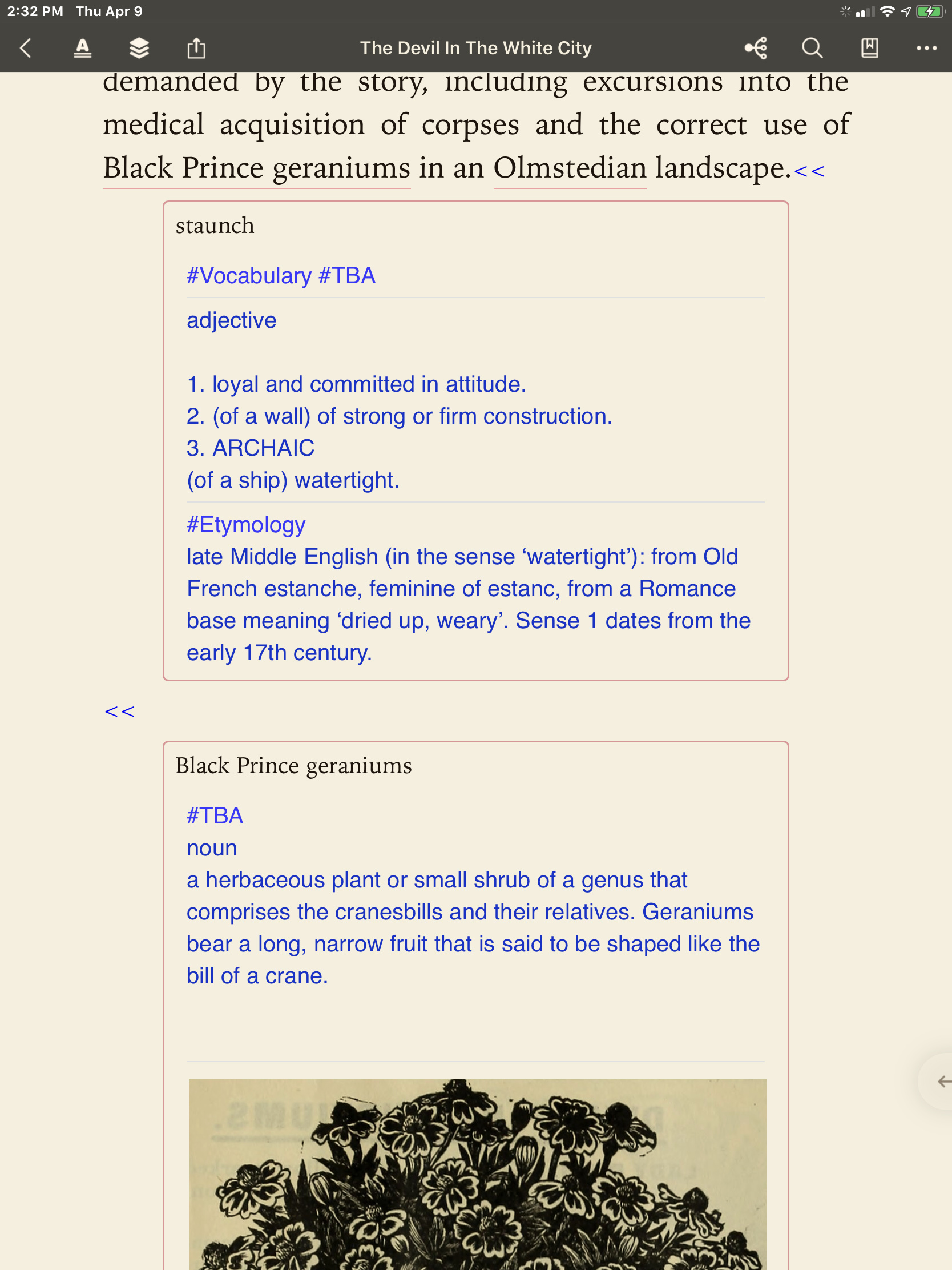 (Simple Fix) Angle Brackets and blue text Feature Requests Marginnote