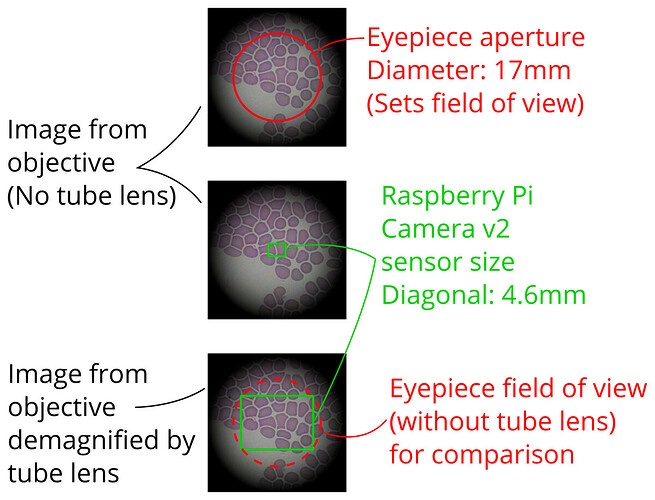 Microscope lens for Raspberry Pi camera V2 GOSH Skill Share GOSH