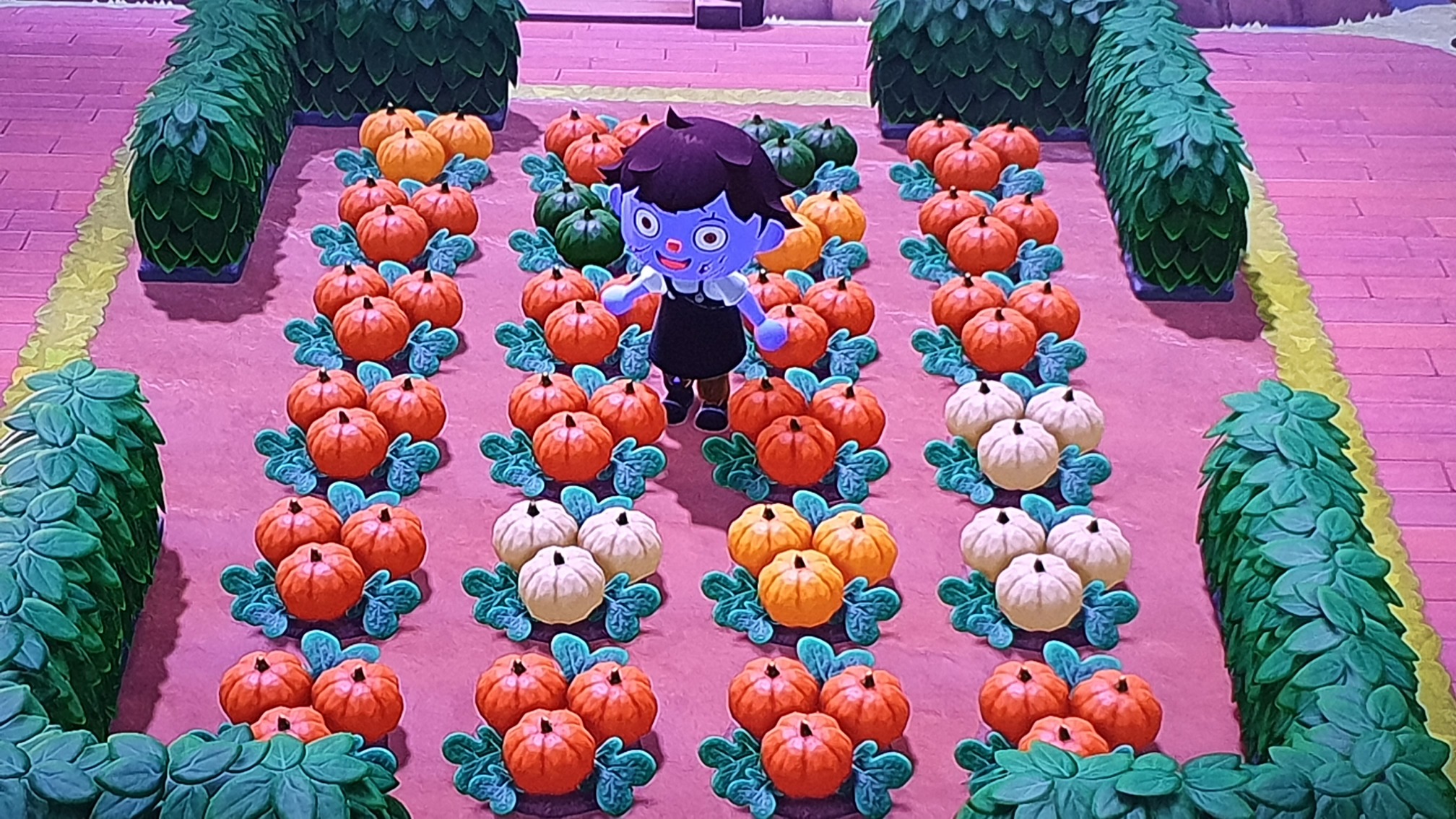 Animal Crossing New Horizons Freundescodes Tipps Tricks Ii Games Forum Rocket Beans Tv
