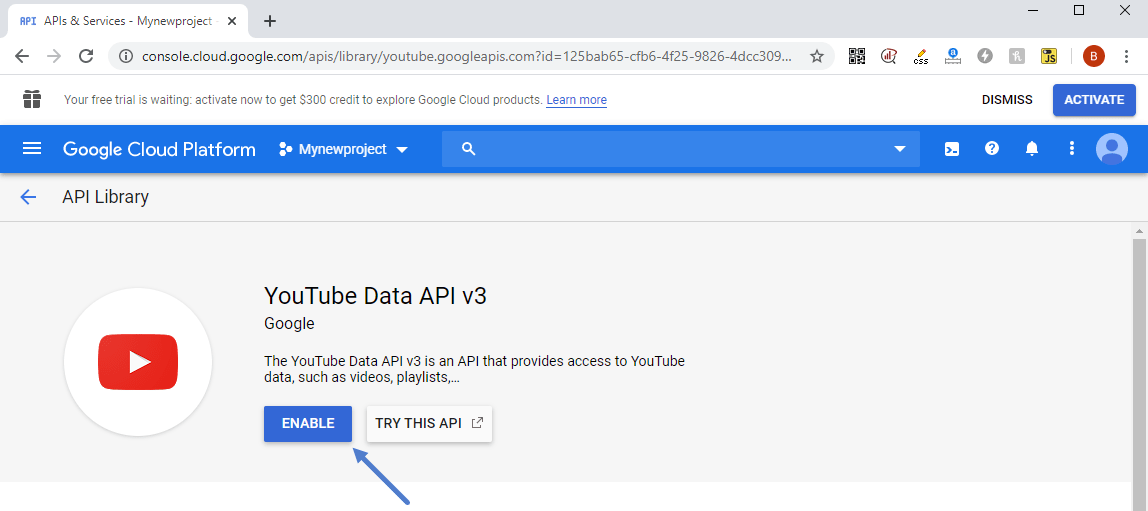 How to use the YouTube API in Newspaper WordPress Theme