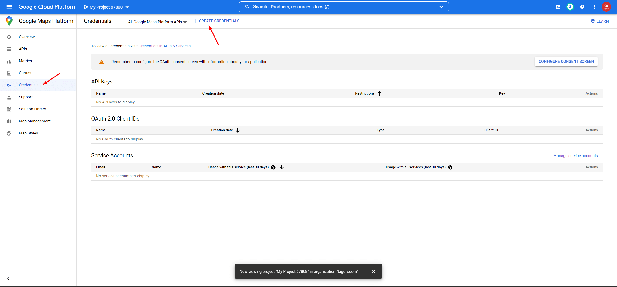 How to use the Google Maps API tagDiv support