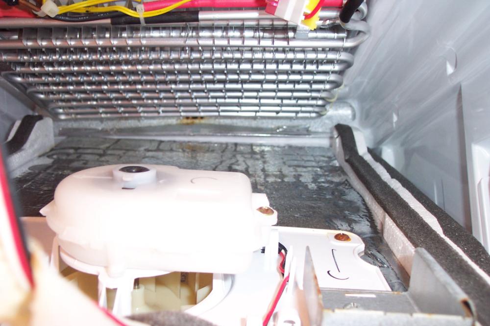 Side by Side Kühlschrank Samsung RS 21 FCMS kühlt nicht mehr