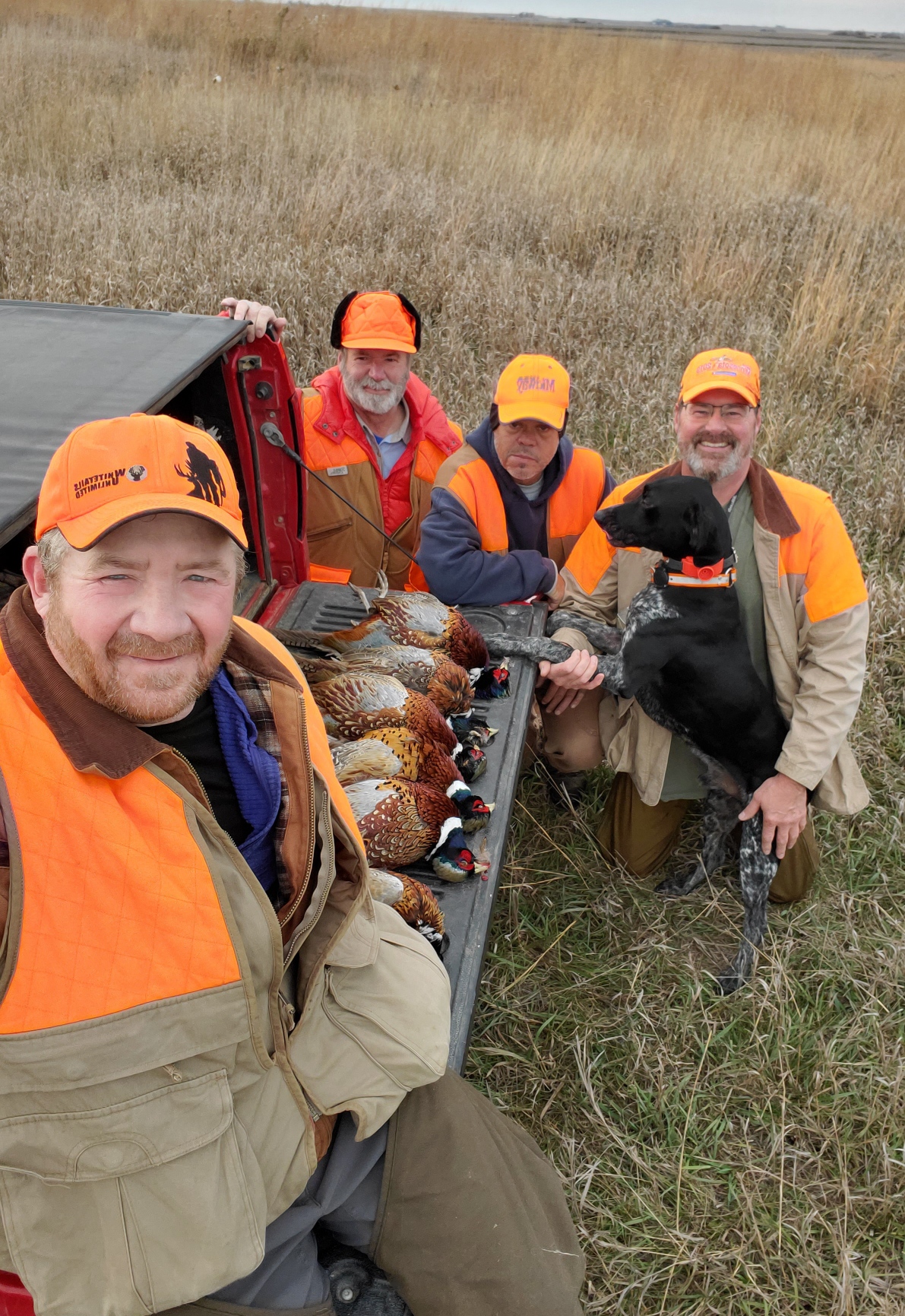 11.5 crew and birds.jpeg Ultimate Pheasant Hunting Forums