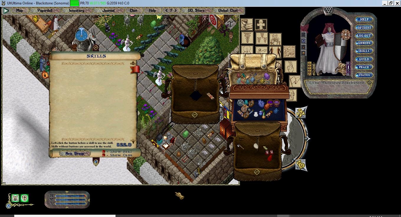 Skills and Macro's vanished off a character in the CC Ultima Online