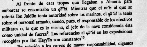 el jefe de la nave considerada ésta como unidad de fuerza