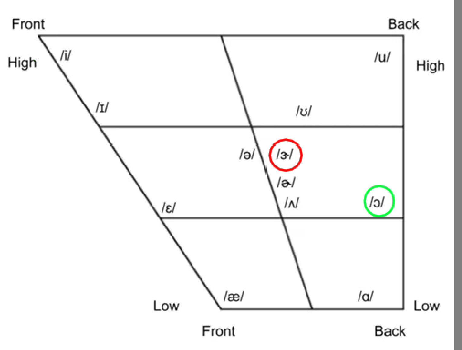 warm/worm, pronunciation WordReference Forums