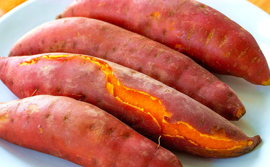 yam WordReference Forums