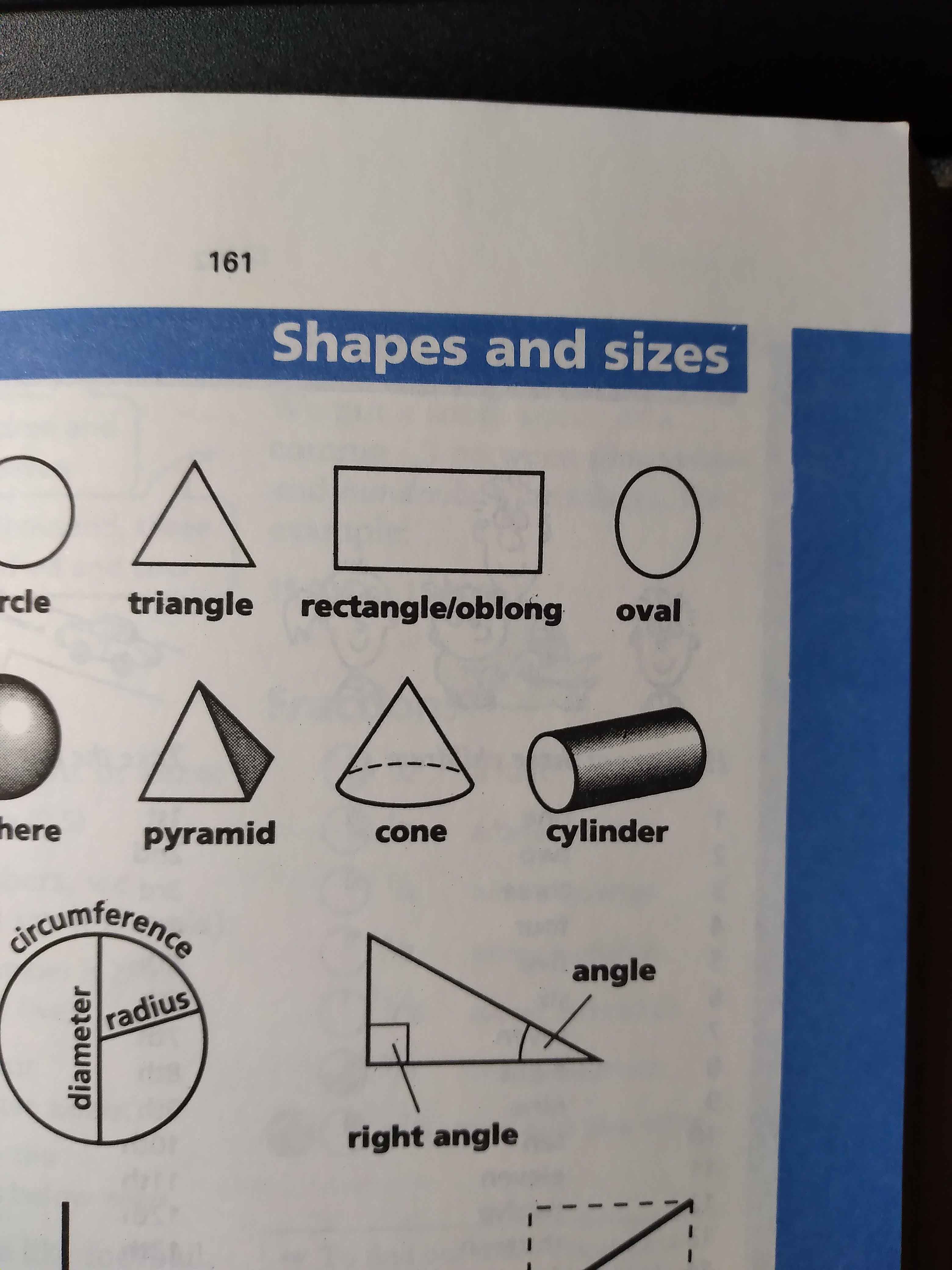 rectangle / oblong WordReference Forums