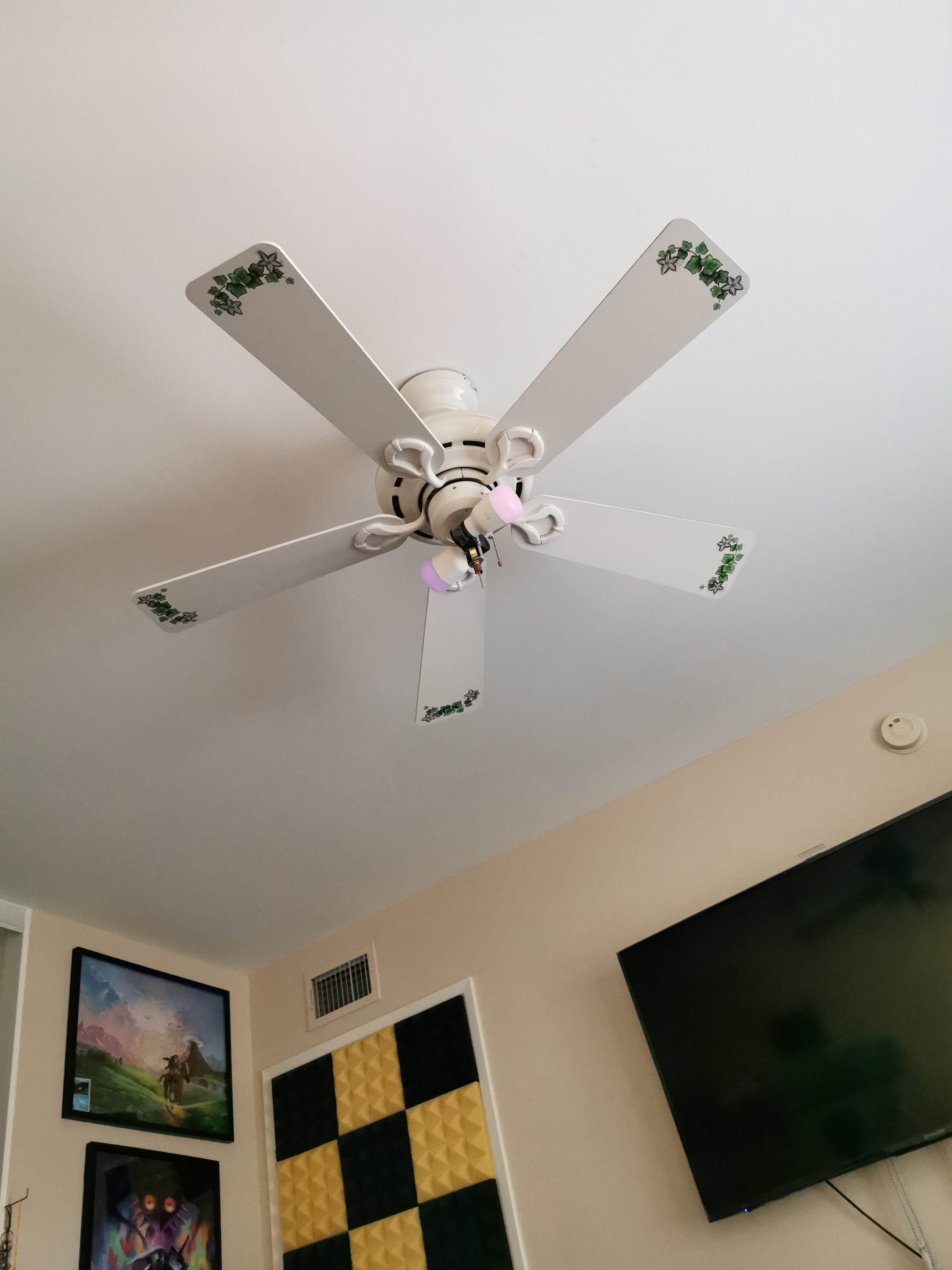 Ceiling Fan Wont Turn On Shelly Lighting