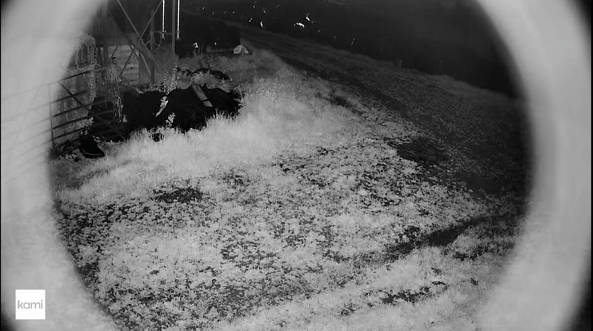 Kami outdoor camera night vision not working Community Support Kami Community