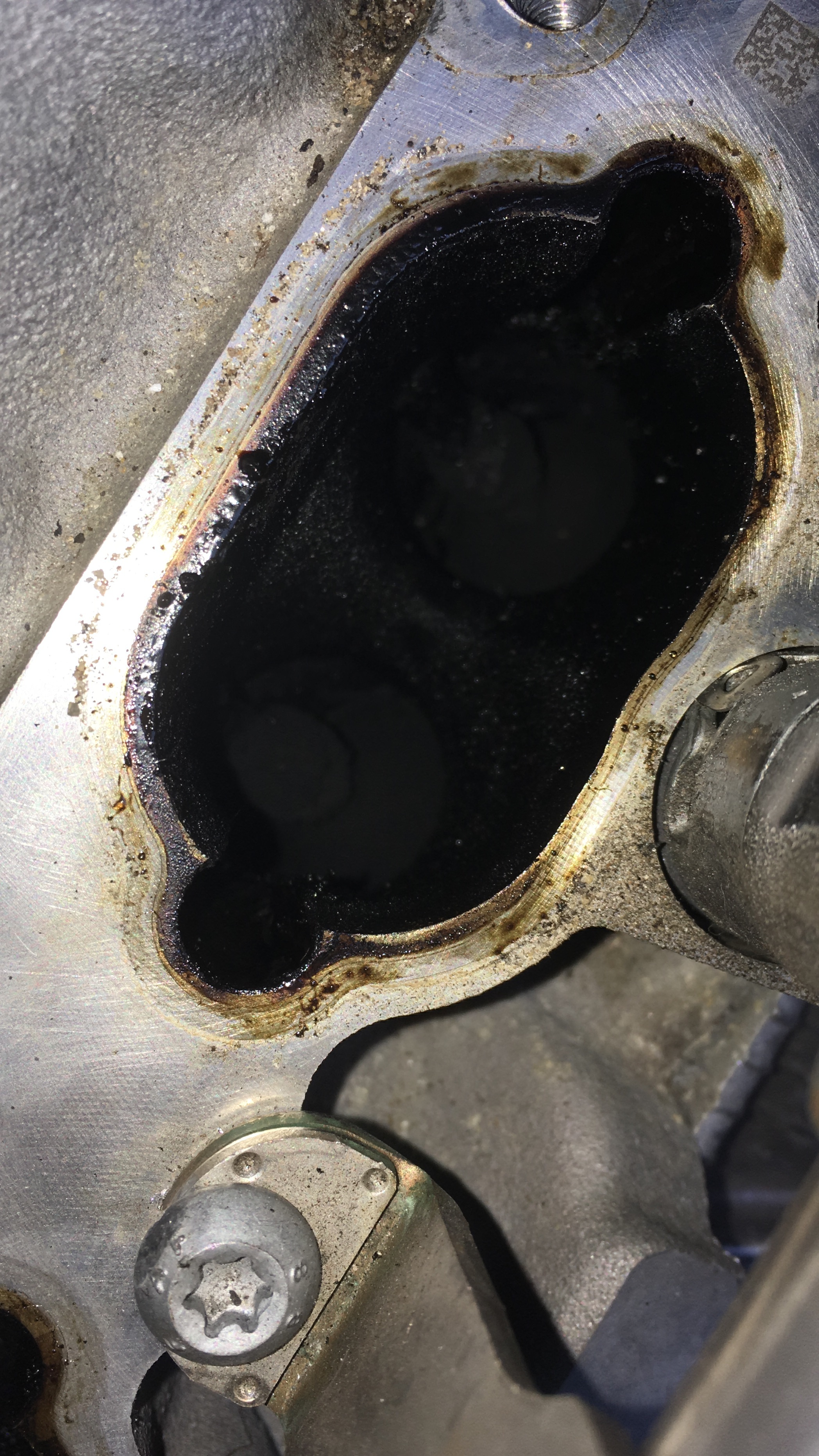 Jhm intake spacers! Edit engine code A6 All/ S6 All Audi Revolution