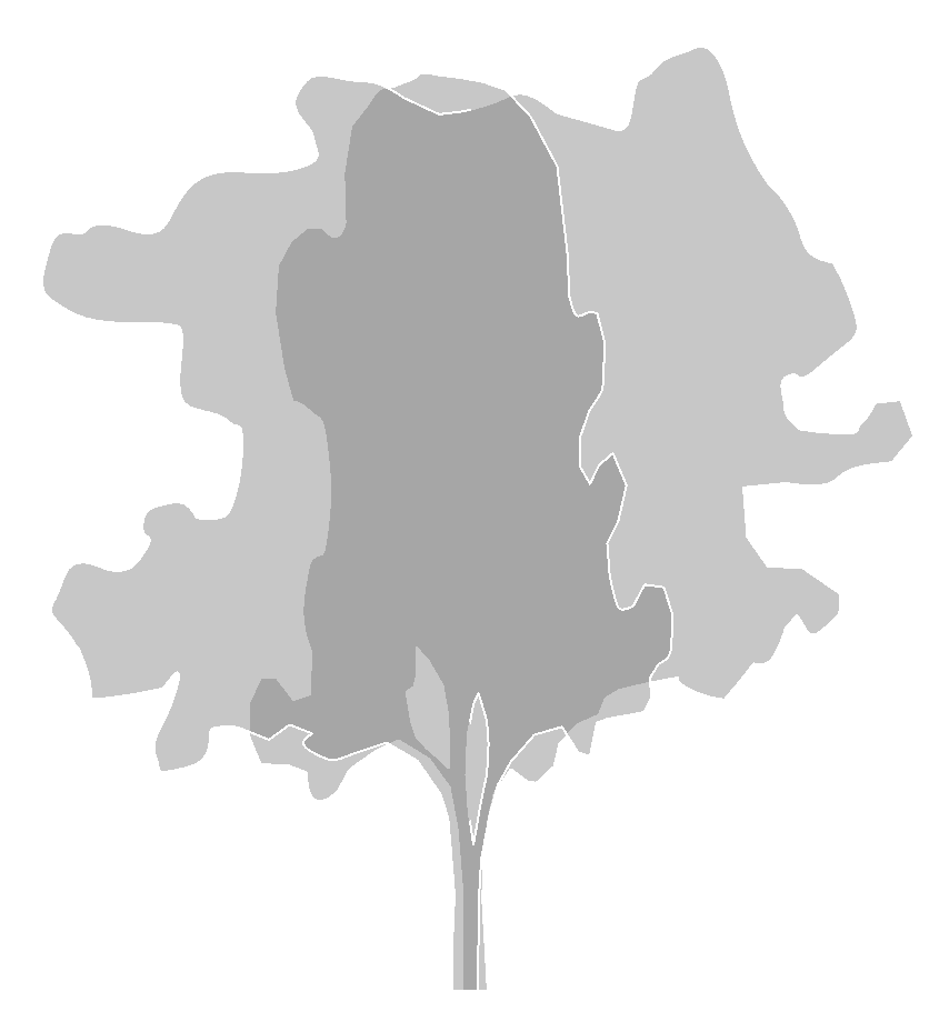 How to hide edges of trees on a perspective view? Autodesk Community