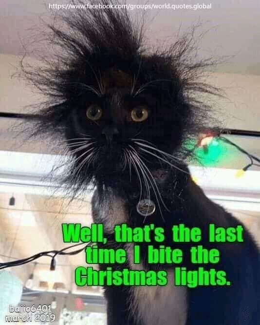 Christmas Lights Meme Funny pic/gif thread... Page 1845 AzBilliards Forums