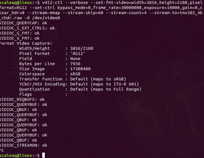 V4l2ctl raw reading works in JP4.5 but doesn't work in JP 4.6 Jetson