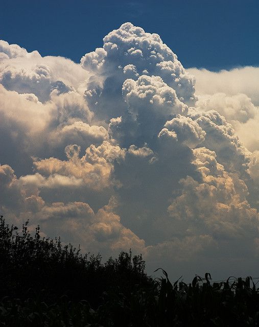 Where are the cumulonimbus clouds? Wishlist Microsoft Flight