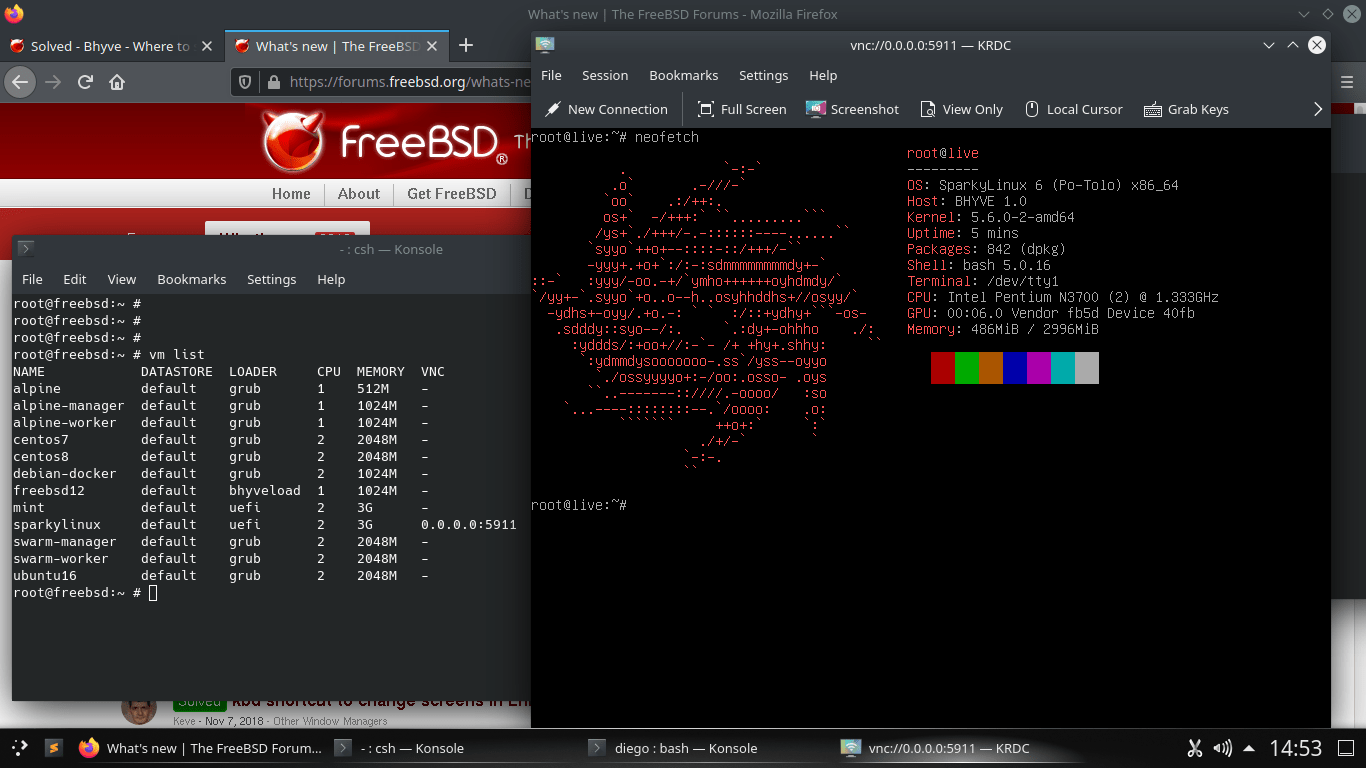 Solved - Bhyve - Where to start? | The FreeBSD Forums