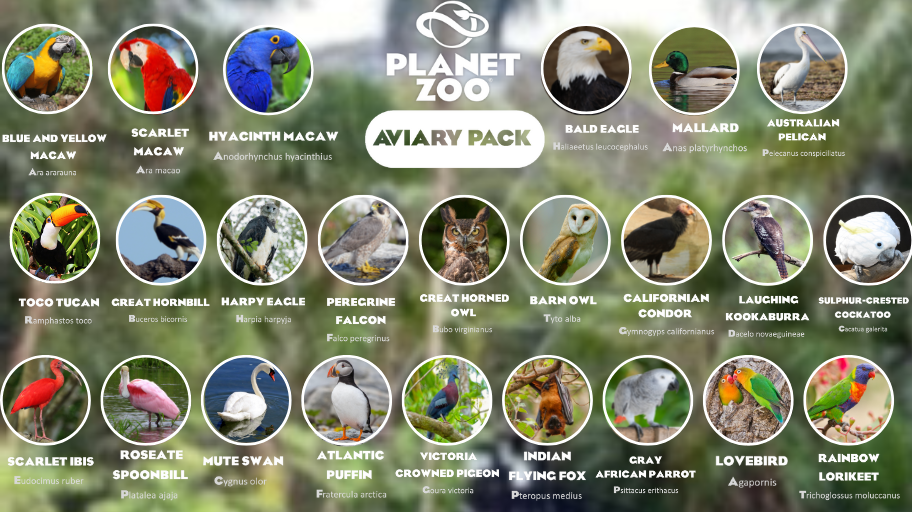 Aviary Dlc Frontier Forums