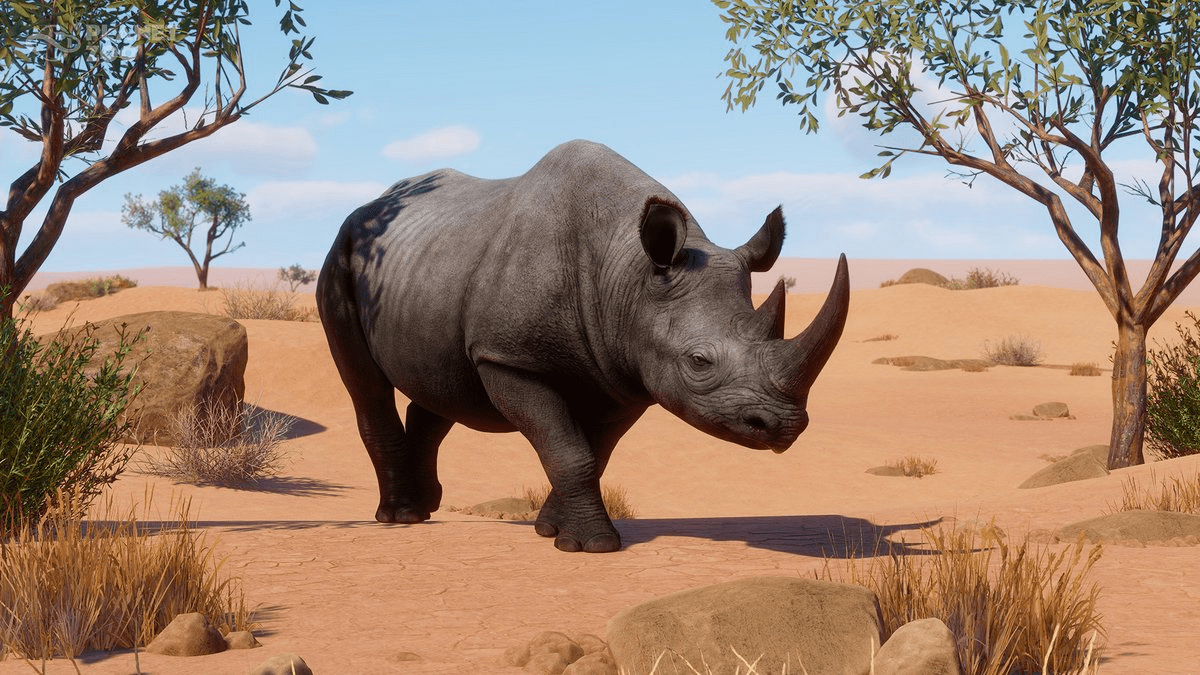 Zoo Arid Animal Pack Releasing 20 June 🐪 Page 35 Frontier