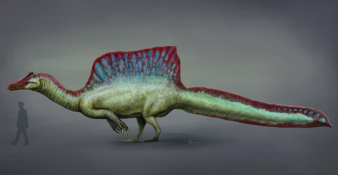 Will JWE2 feature a accurate Spinosaurus? Frontier Forums