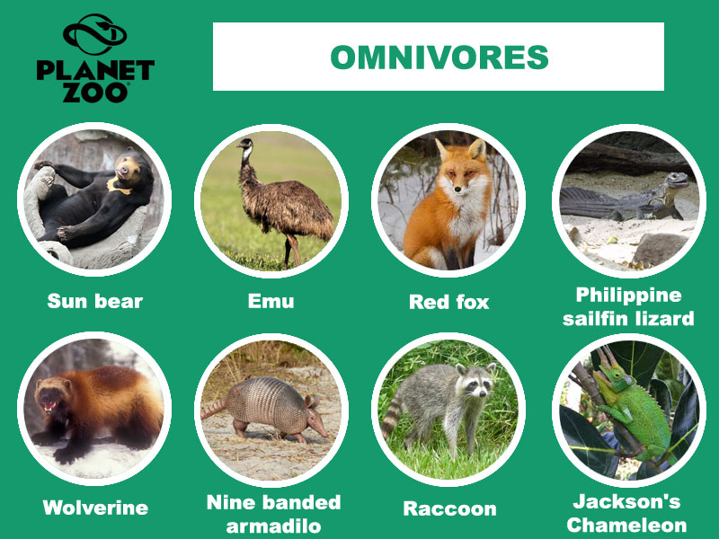 Organisms in ecosystem concept map Mind Map