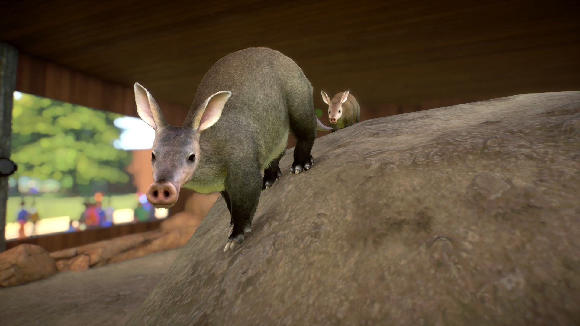 Zoo Picture Thread Page 9 Frontier Forums