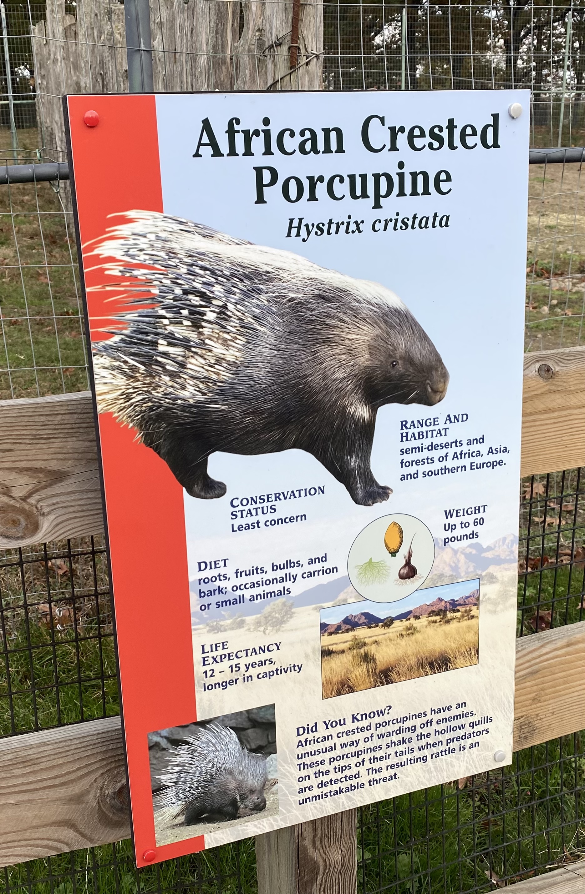 Zoo Education Displays for all animals Frontier Forums