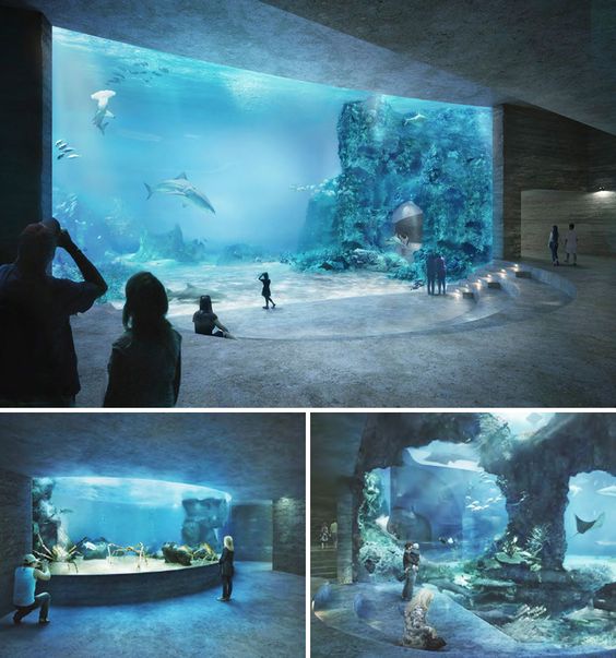 Modern and Environmentally friendly Zoo design. Frontier Forums
