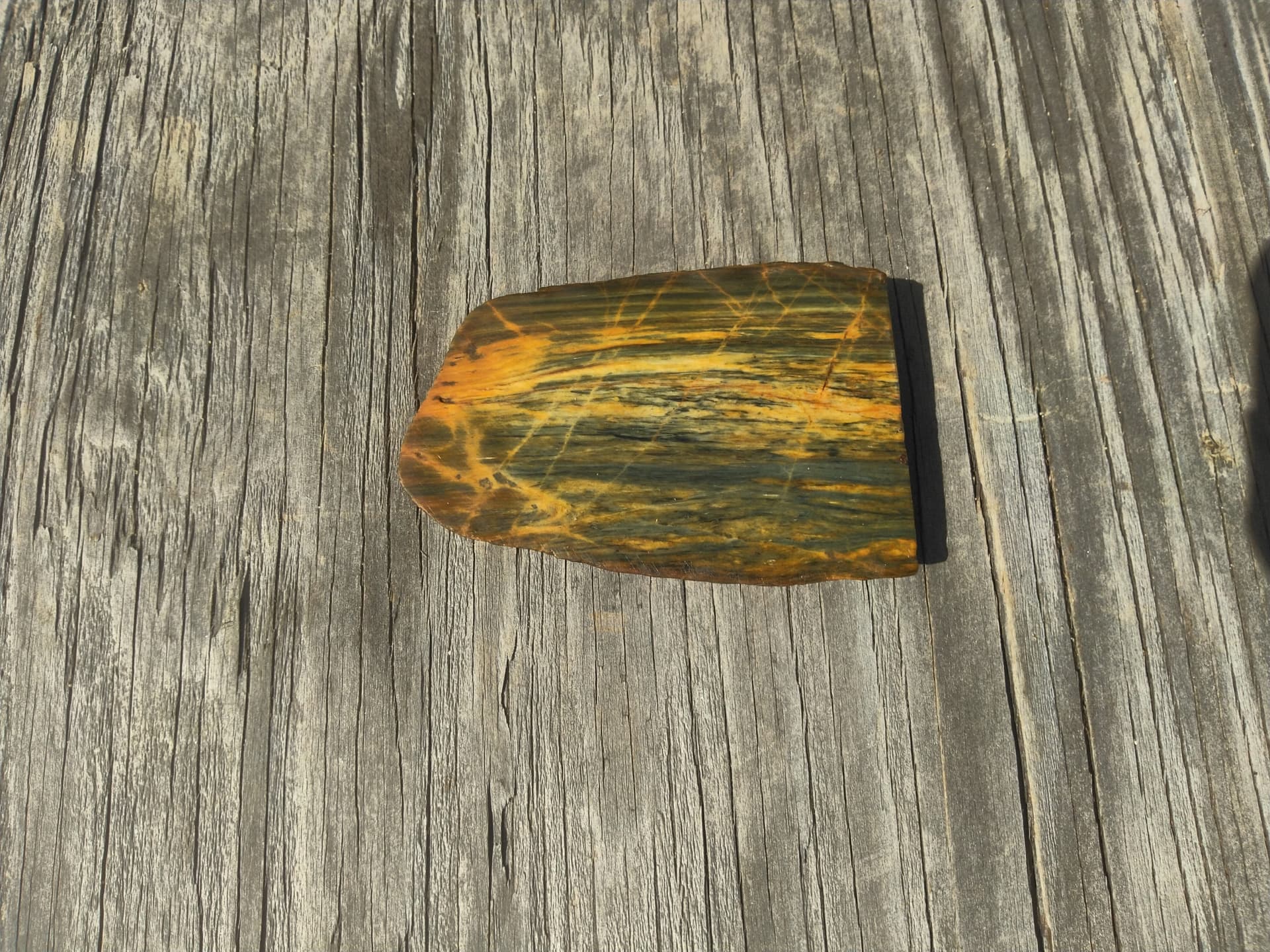 Petrified wood? Gem Related Discussion IGS Forums