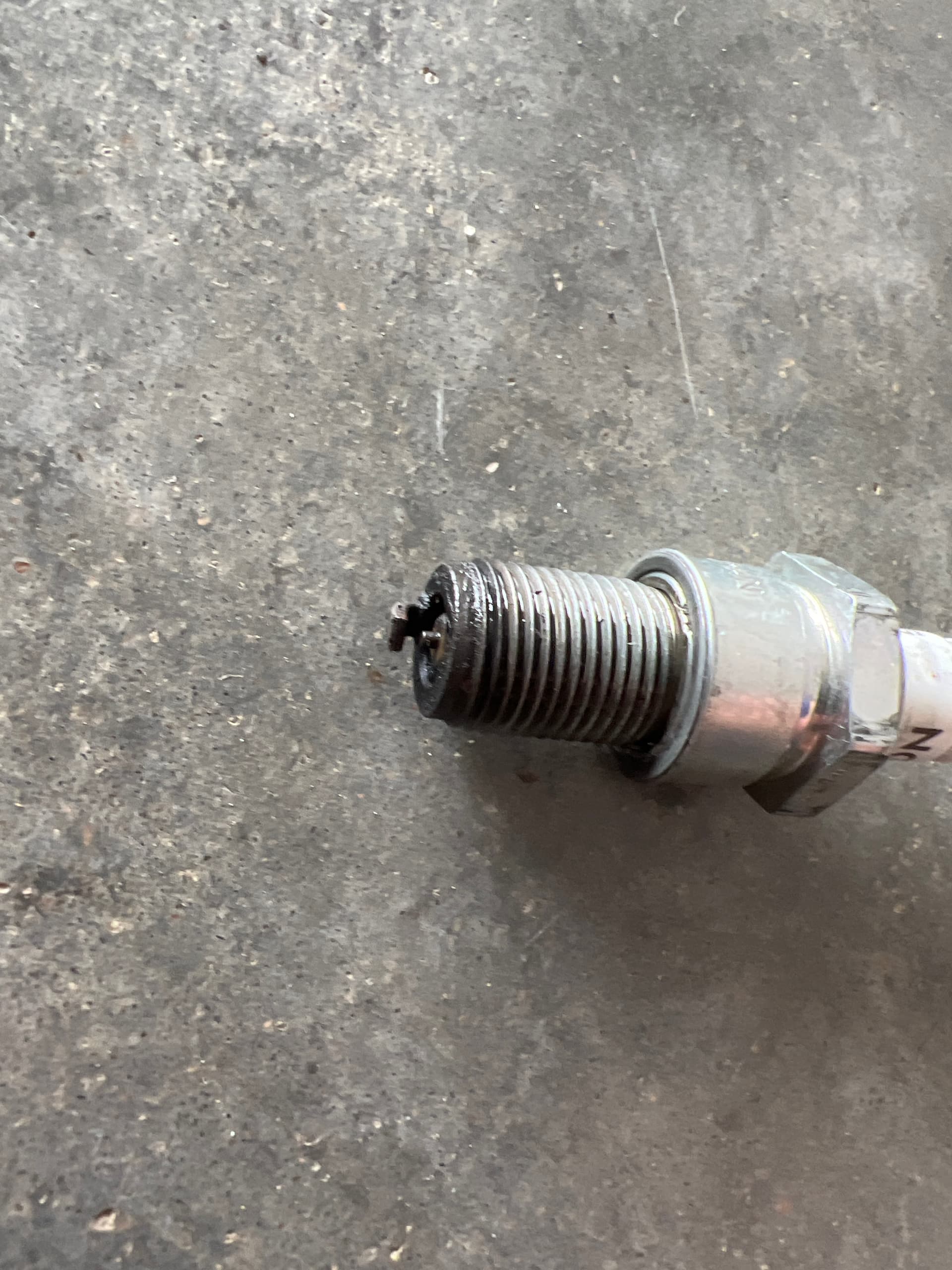 Is this spark plug fouled 2 Stroke Kart Engine Forums KartPulse