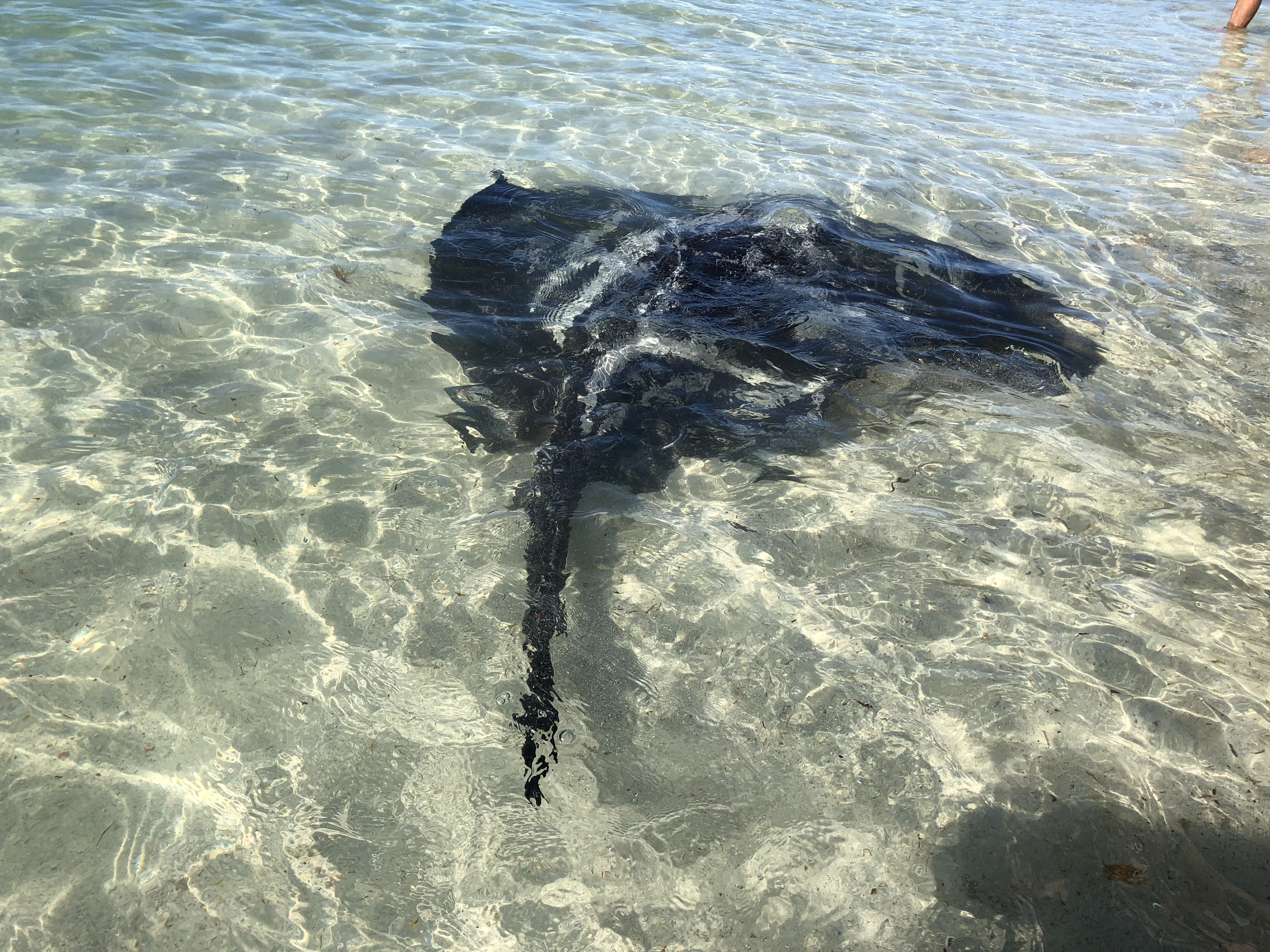 iPhone X in the shower MacRumors Forums