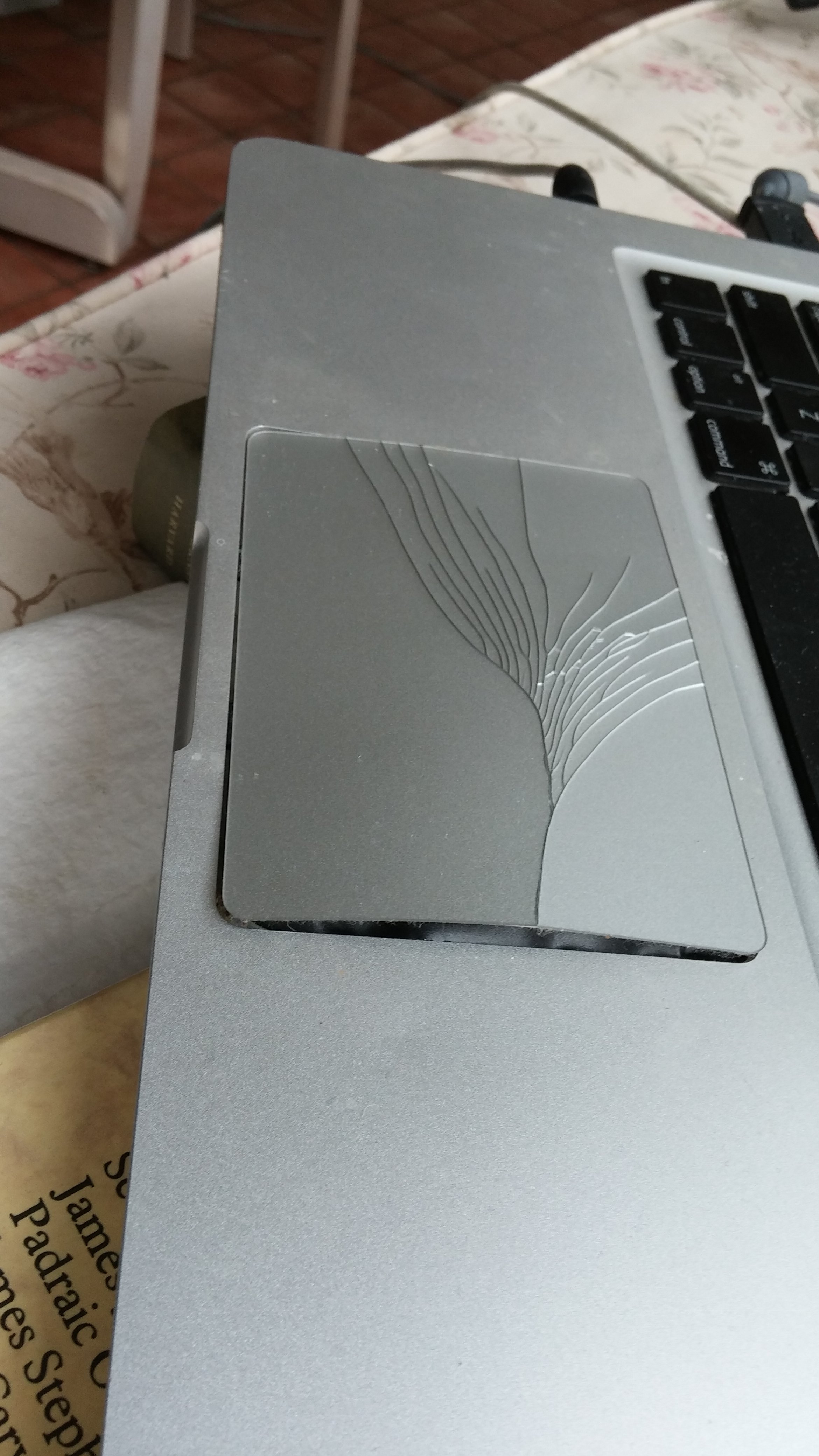 Something growing under my trackpad! MacRumors Forums