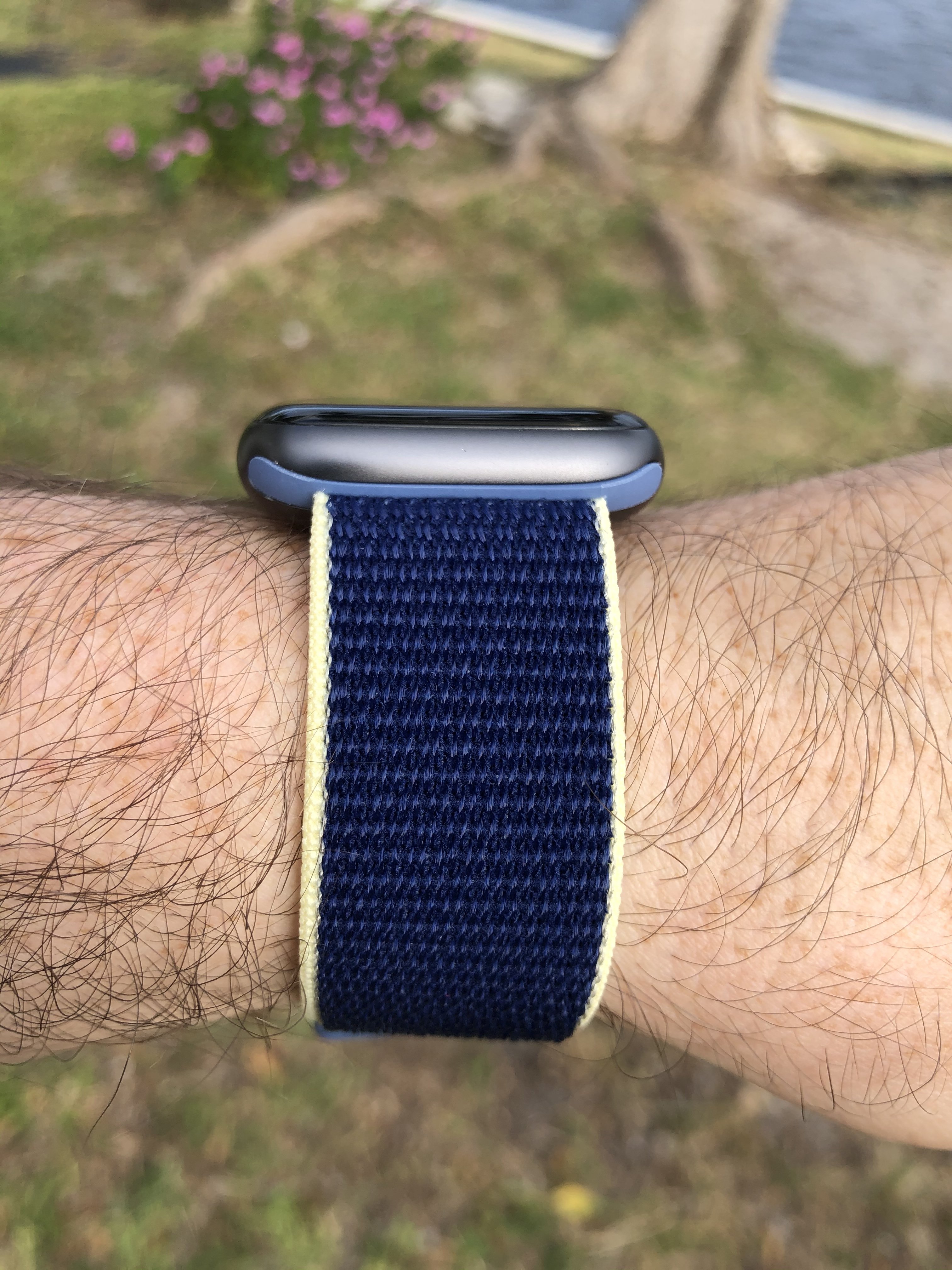 Alaskan Blue Apple Watch