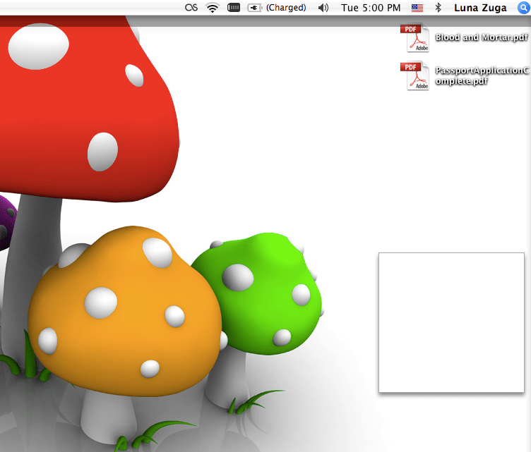 Random white box on desktop MacRumors Forums