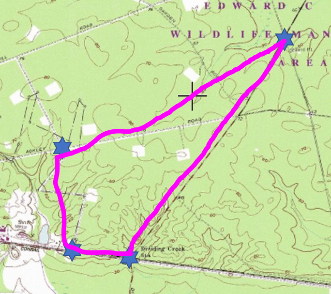 Forest fire burns roughly 1,000 acres in Cumberland County; fire not