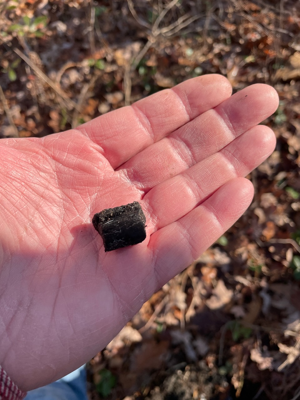 Tar Kiln Locations? NJPB Forums