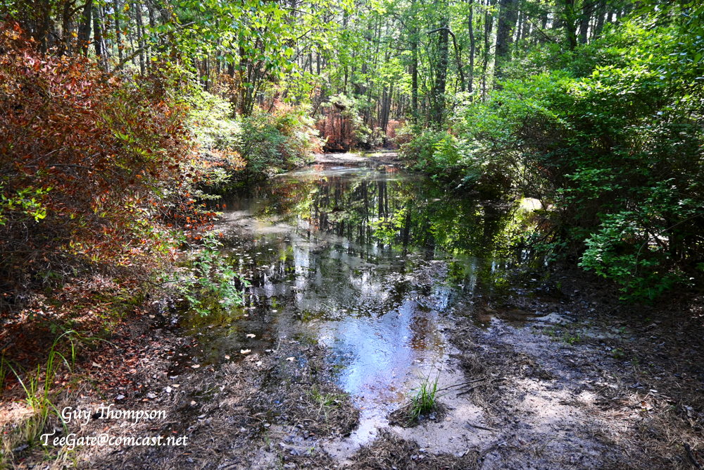 West Mill Road And Burn Area NJPB Forums