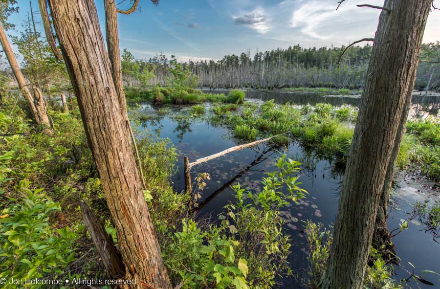Goshen Pond NJPB Forums