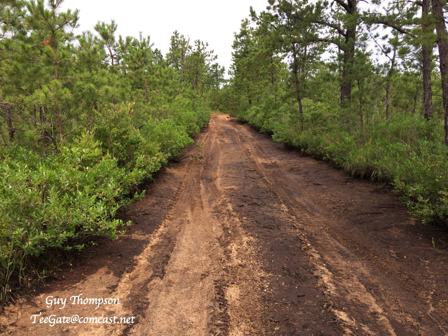 West Mill Road And Burn Area NJPB Forums