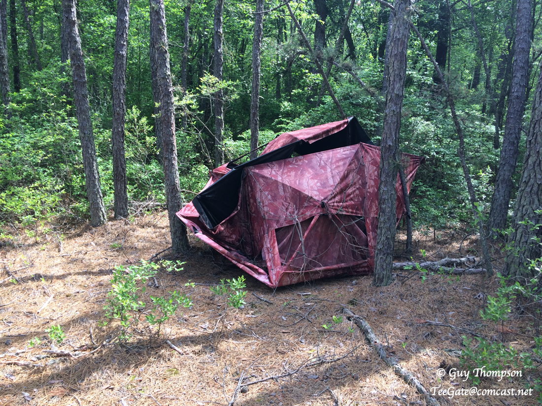 Morning Glory NJPB Forums