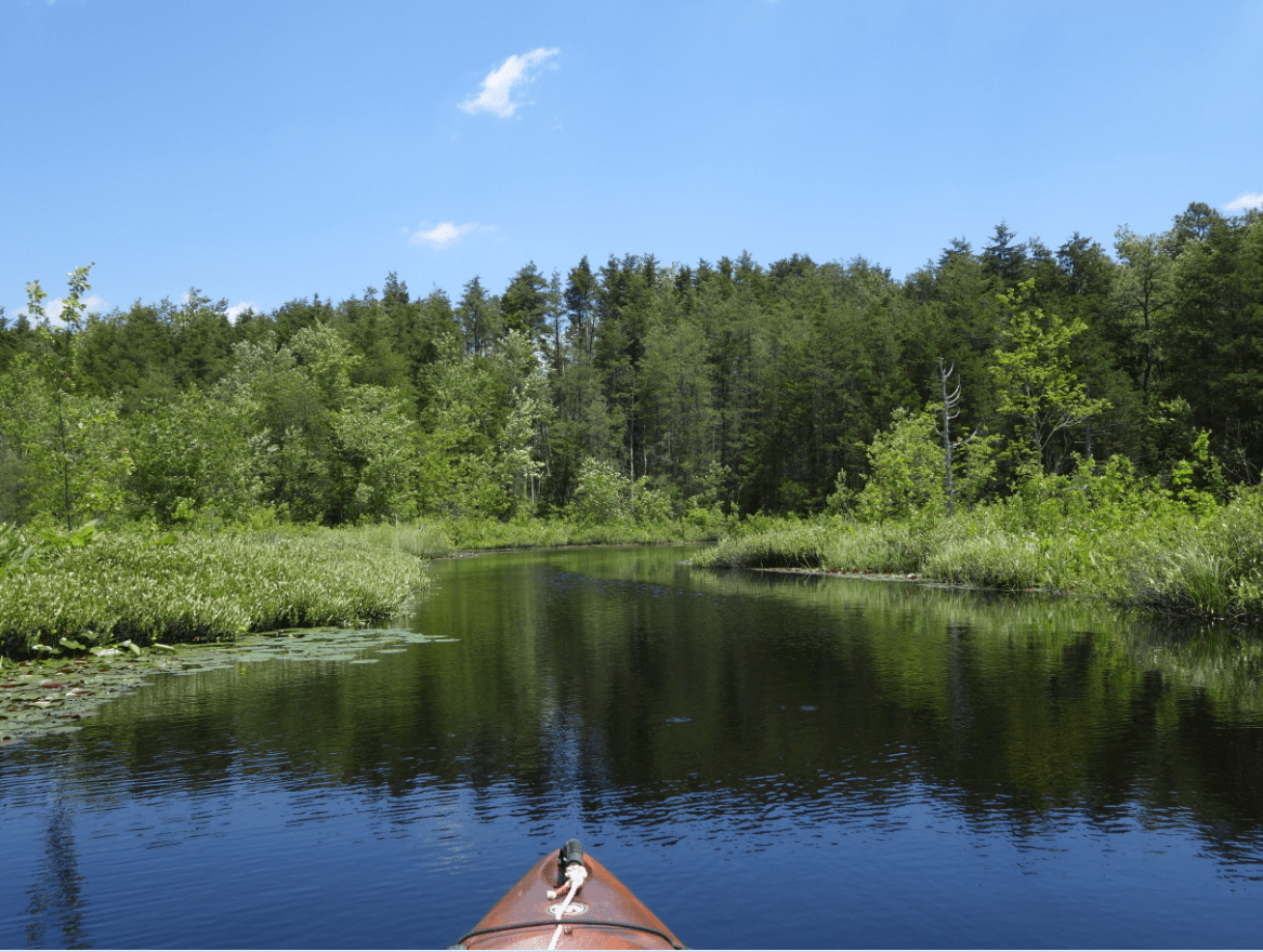 Upper Wading River NJPB Forums