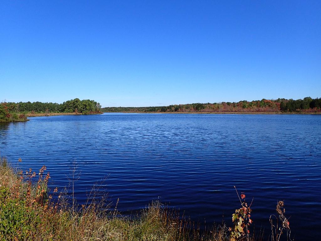 Parker Preserve Trail Out NJPB Forums