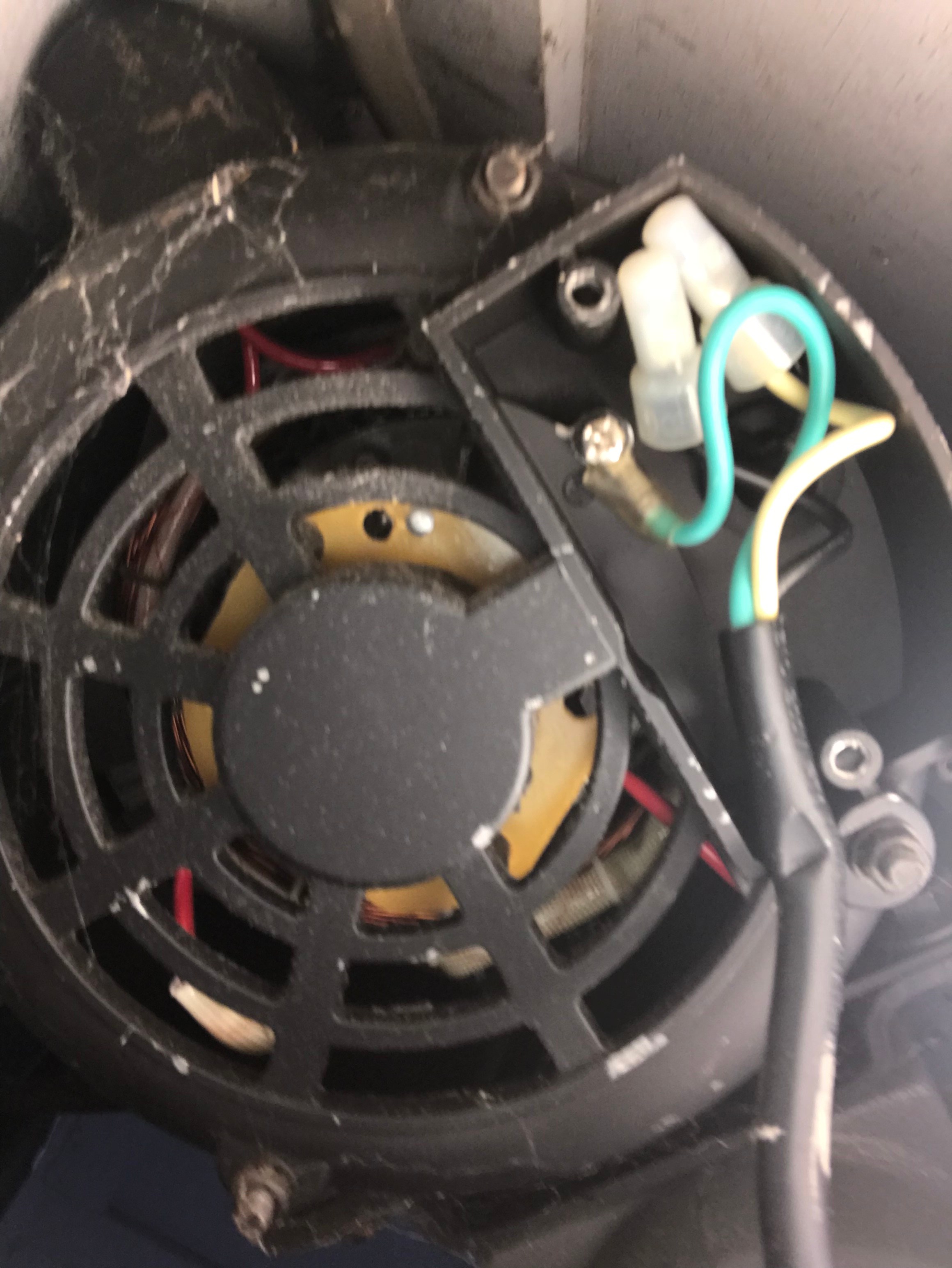 Here is the motor from the bottom. No cap visible.