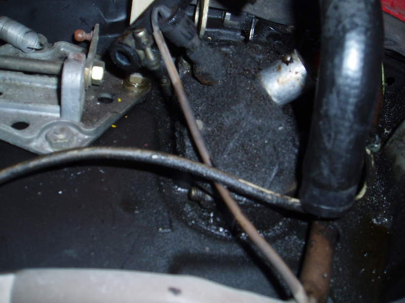 Oil leak diagnosis Pelican Parts Forums
