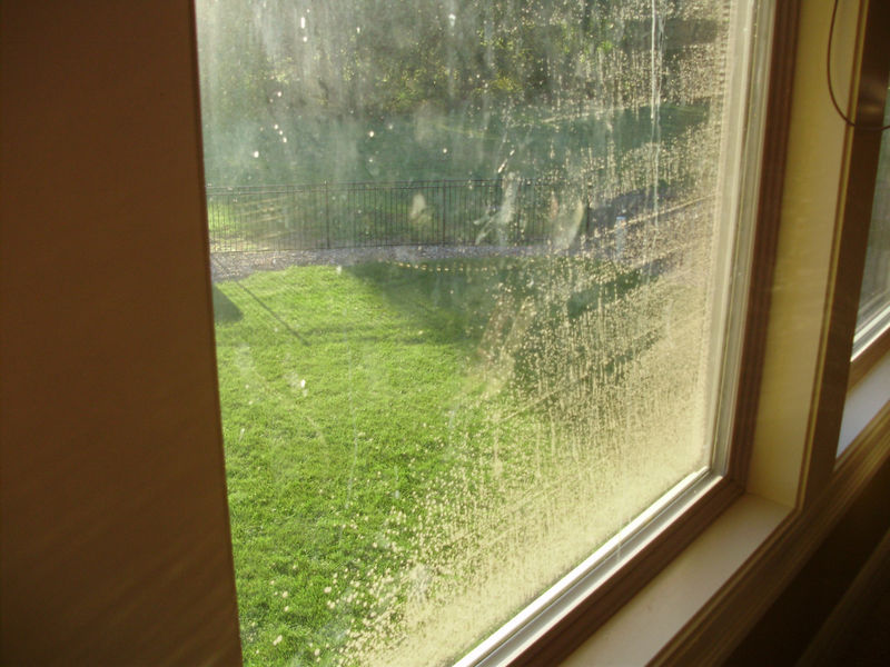 What Is This Growing On The Outside Of My Window? Pelican Parts Forums