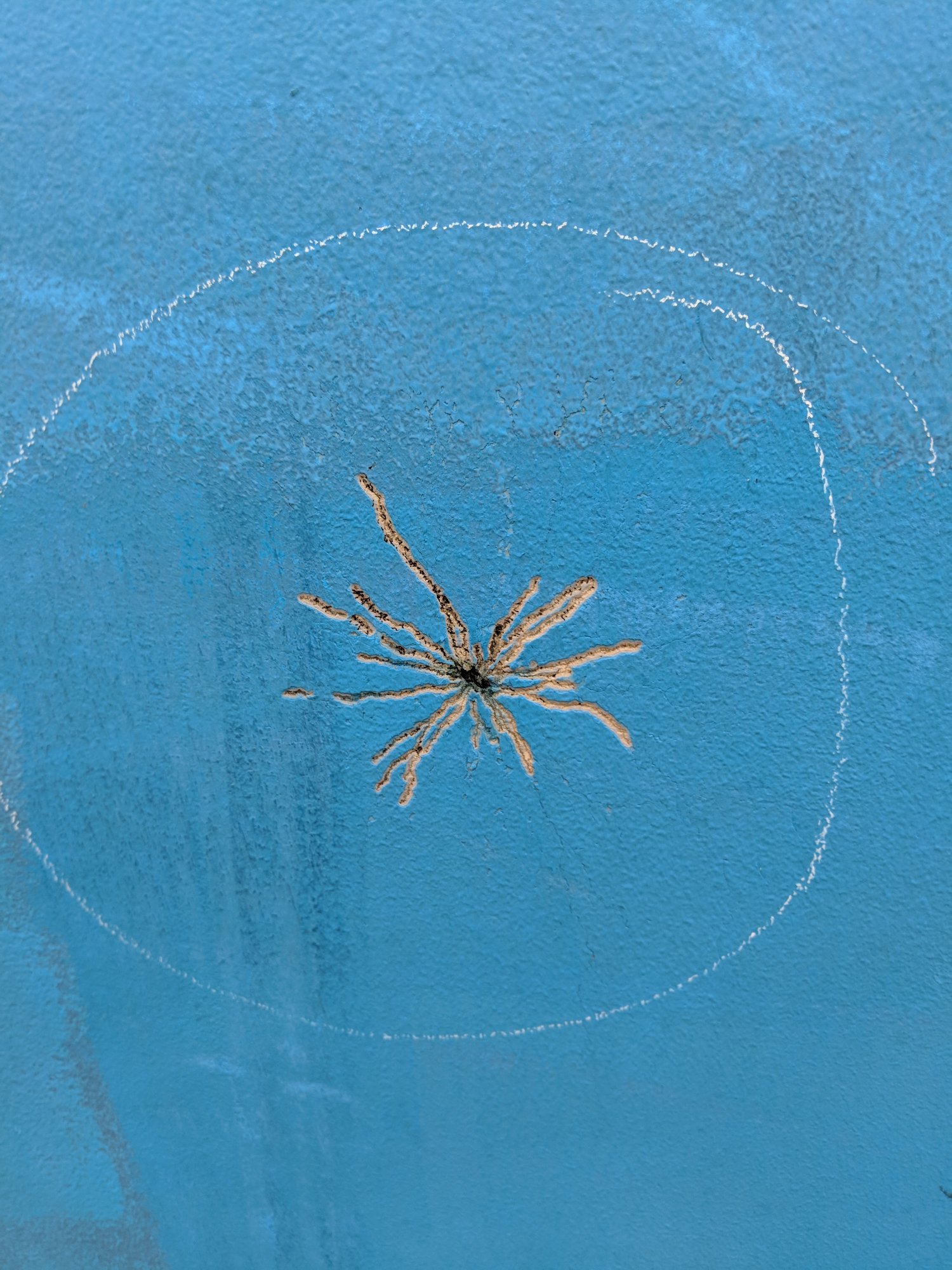 Dynaplate | Sailboat Owners Forums