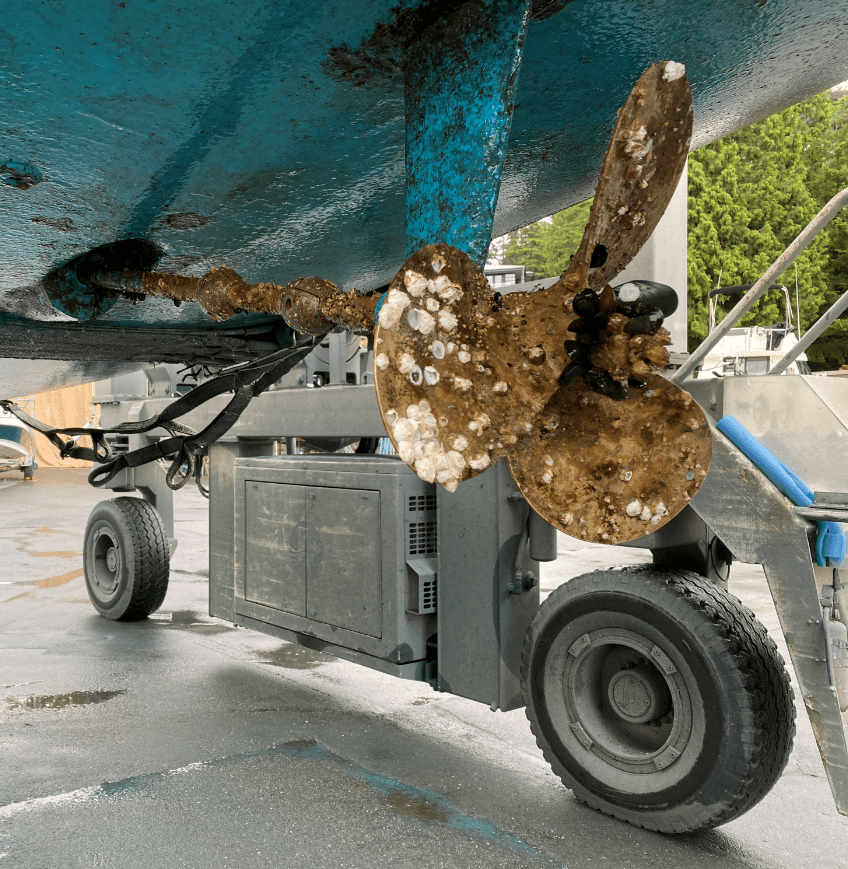 Another Rave Review For Coppercoat Sailboat Owners Forums