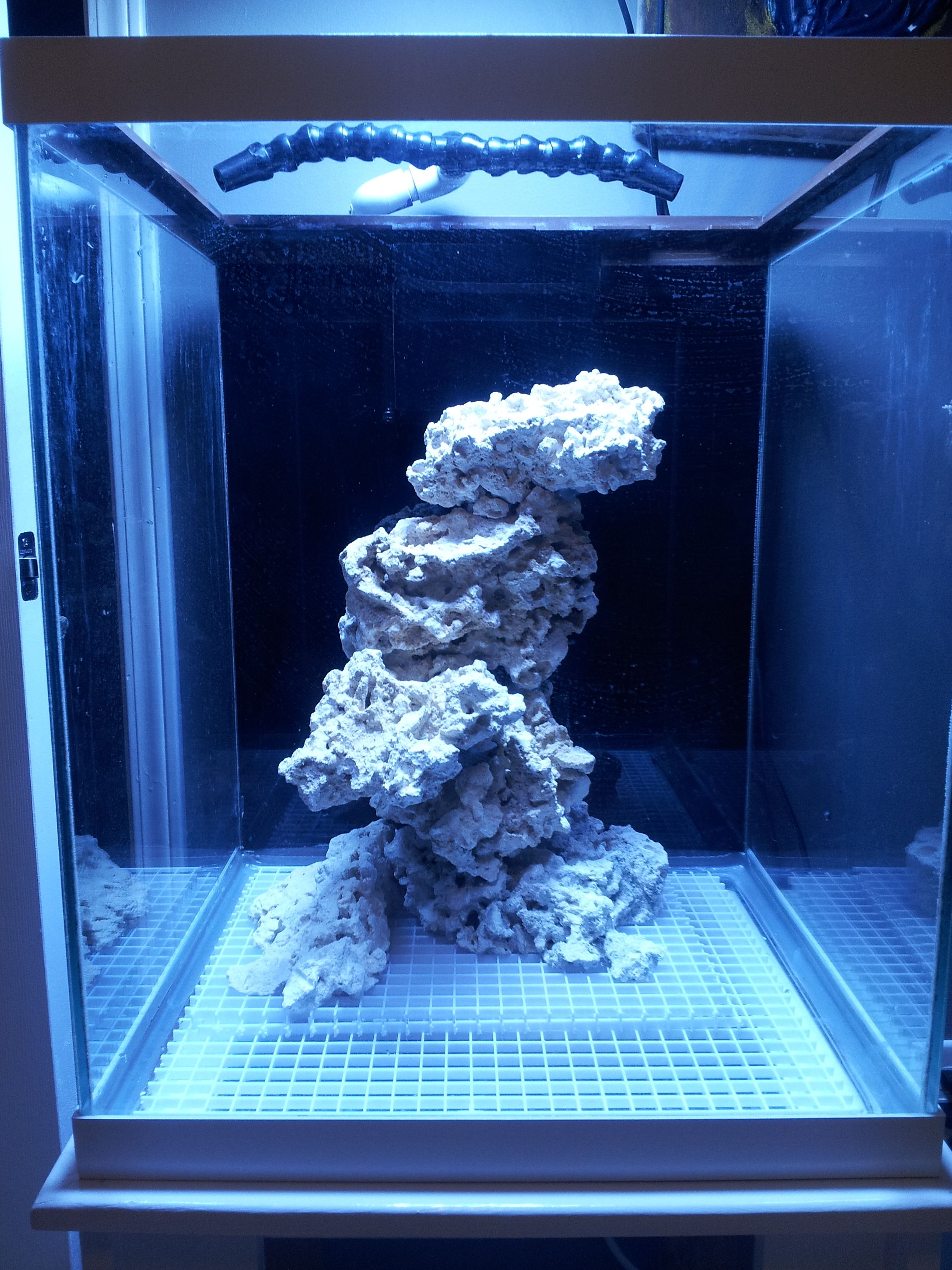 New aquascape Forums for Fish Lovers!