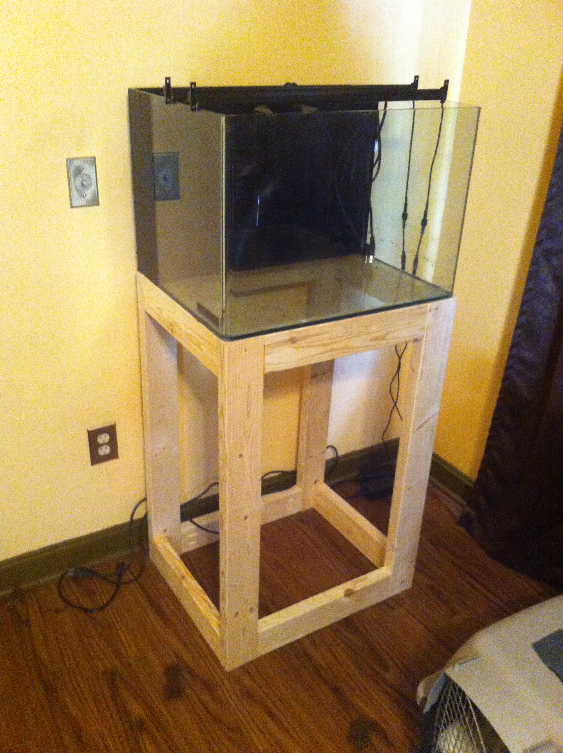 JBJ 30 gallon rimless build Forums for Fish Lovers!